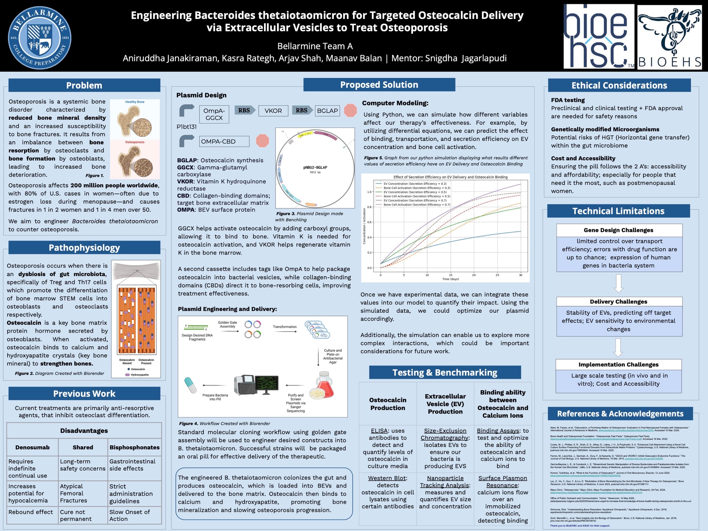 The competition poster: problem, pathophysiology and prior treatments down the left column; the plasmid design, delivery route, simulation graph and planned assays across the middle; ethical considerations and technical limitations on the right.